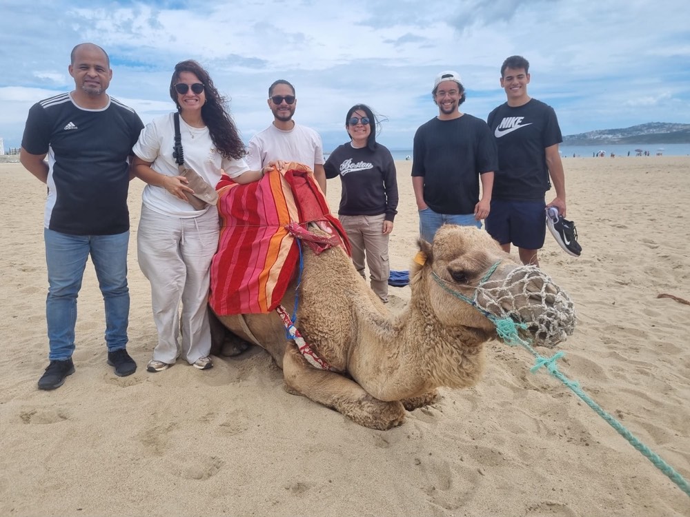Un equipo sonriendo en una playa junto a un camello